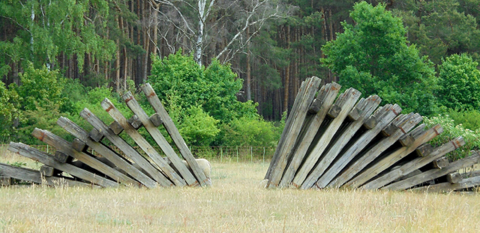 'buch'skulpturenpark
